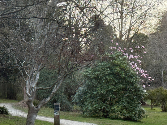 Nobelius Heritage Park-Emerald必去景点