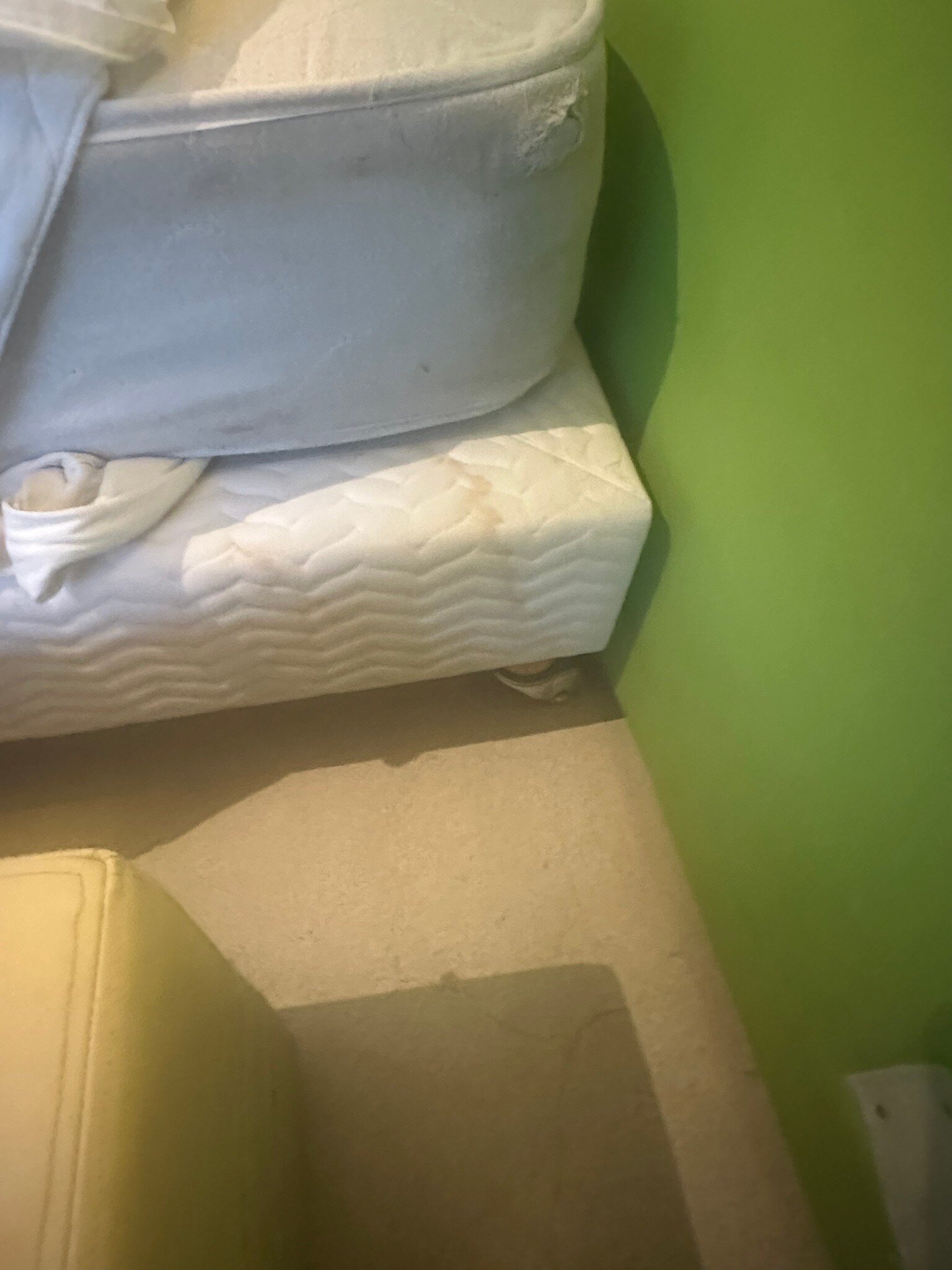 毛里求斯索菲特特色酒店-官方