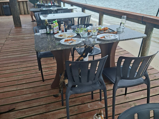 Pousada Pôr do Sol主图