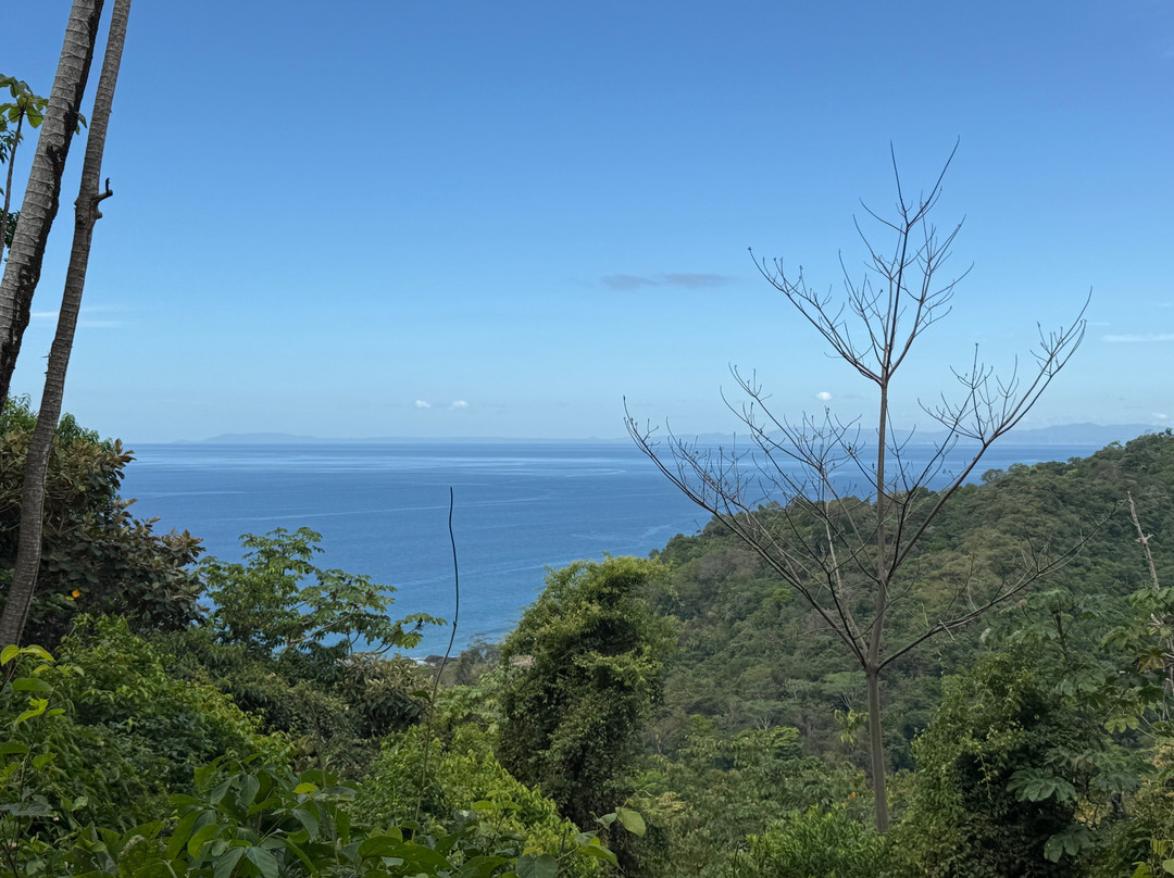 Chiclets Zipline-哈科必去景点