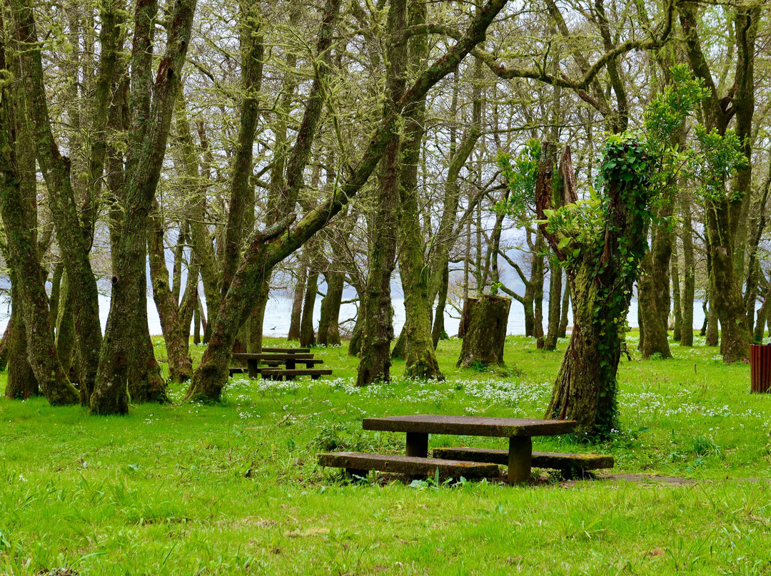 Lagoa das Furnas-圣米格尔岛必去景点