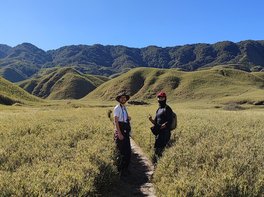 Pier Tours-Kohima必去景点