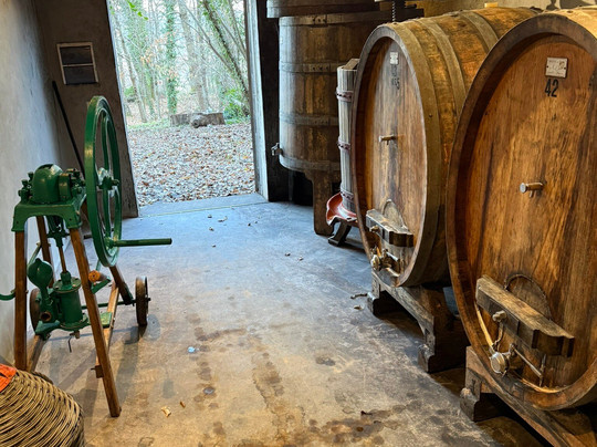 Azienda Agricola Palazzone-奥尔维耶托必去景点