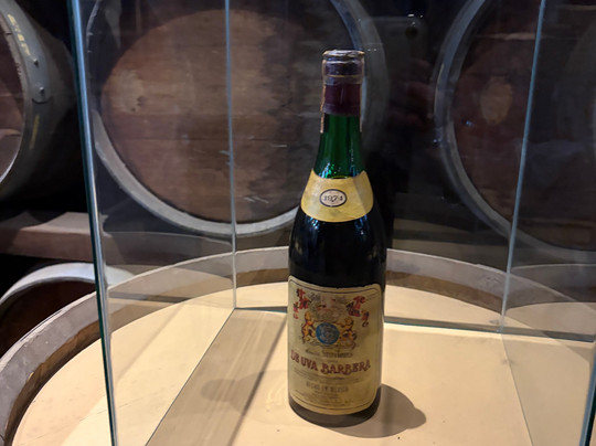 Bodegas De Santo Tomás-恩塞纳达必去景点