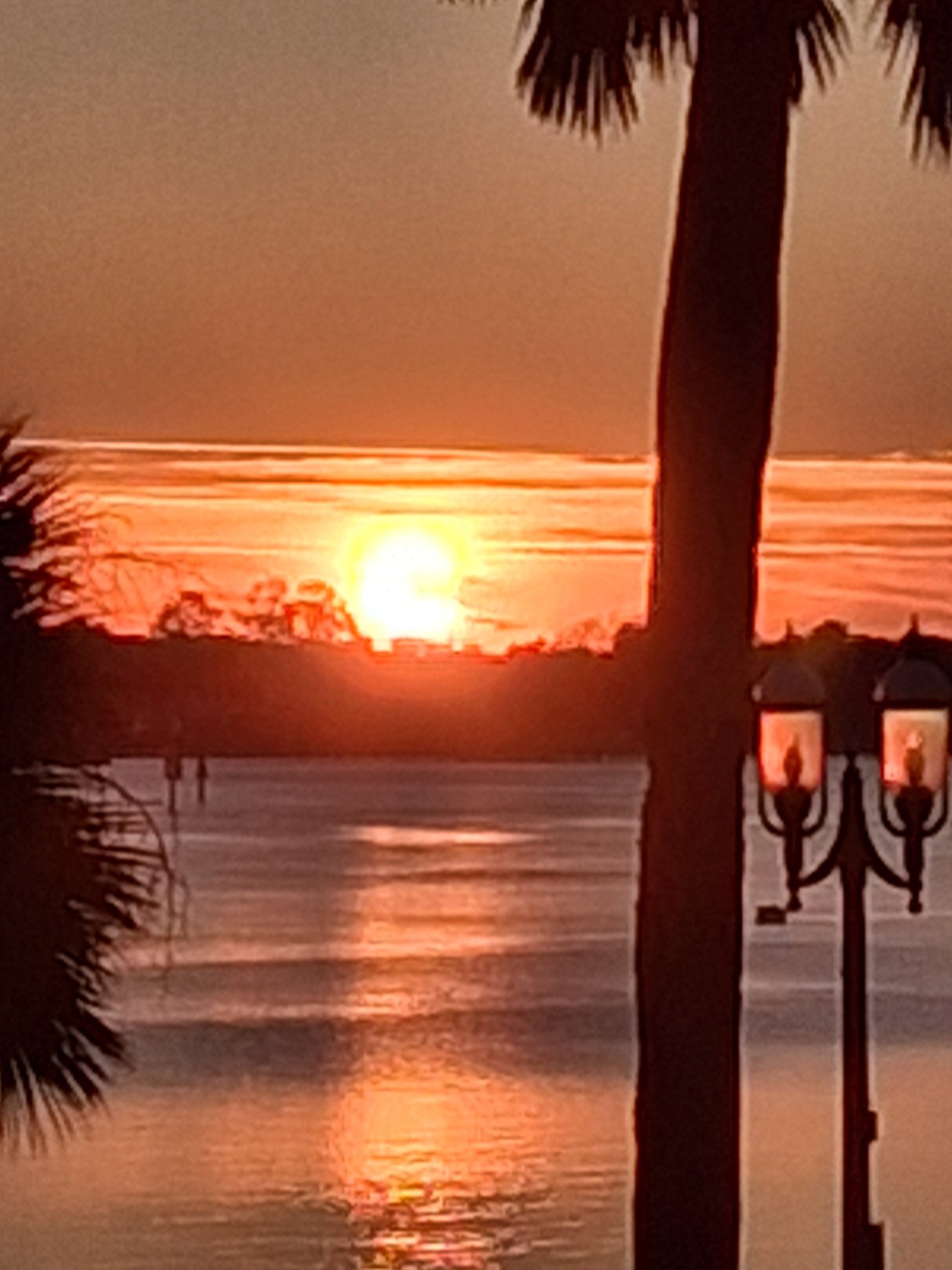 Bayfront Marin House-酒店景观