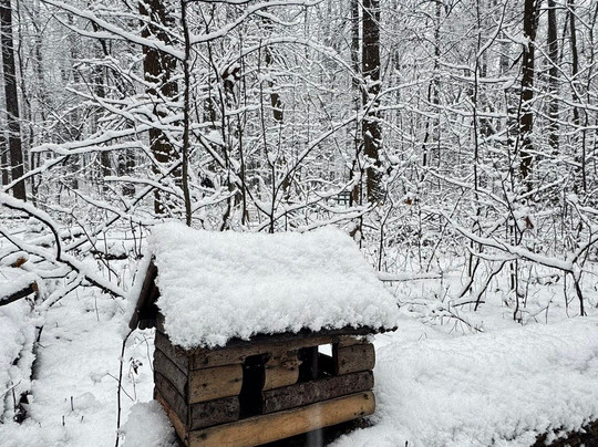 South Mountain Fairy Trail-Millburn必去景点