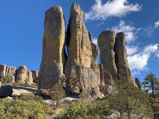 Experience Mex-ECO Tours-Melaque必去景点