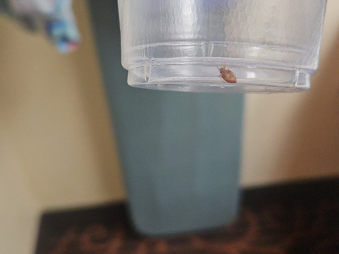 本顿贝斯特韦斯特酒店主图