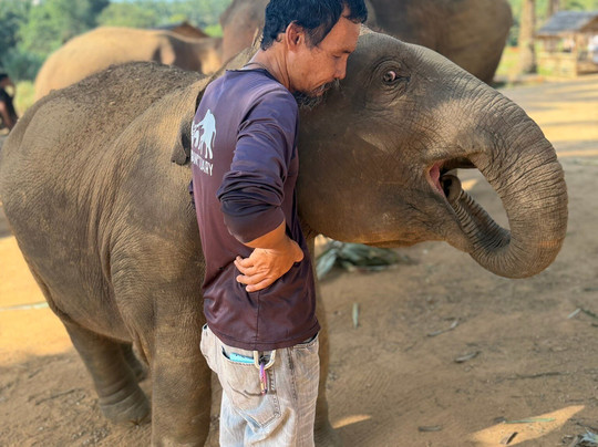 Krabi Elephant House Sanctuary-Sai Thai必去景点