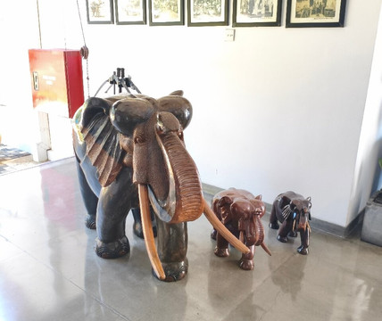 Karu Rent A Bike & Tours-加勒必去景点