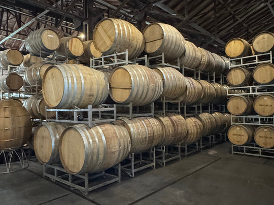 Bodega Los Toneles-门多萨必去景点