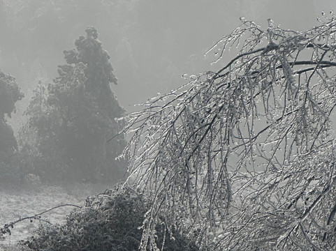 Piani di praglia-Ceranesi必去景点