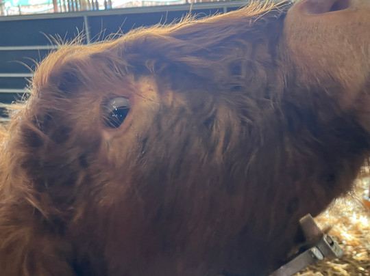 Dumble Farm-比弗利必去景点