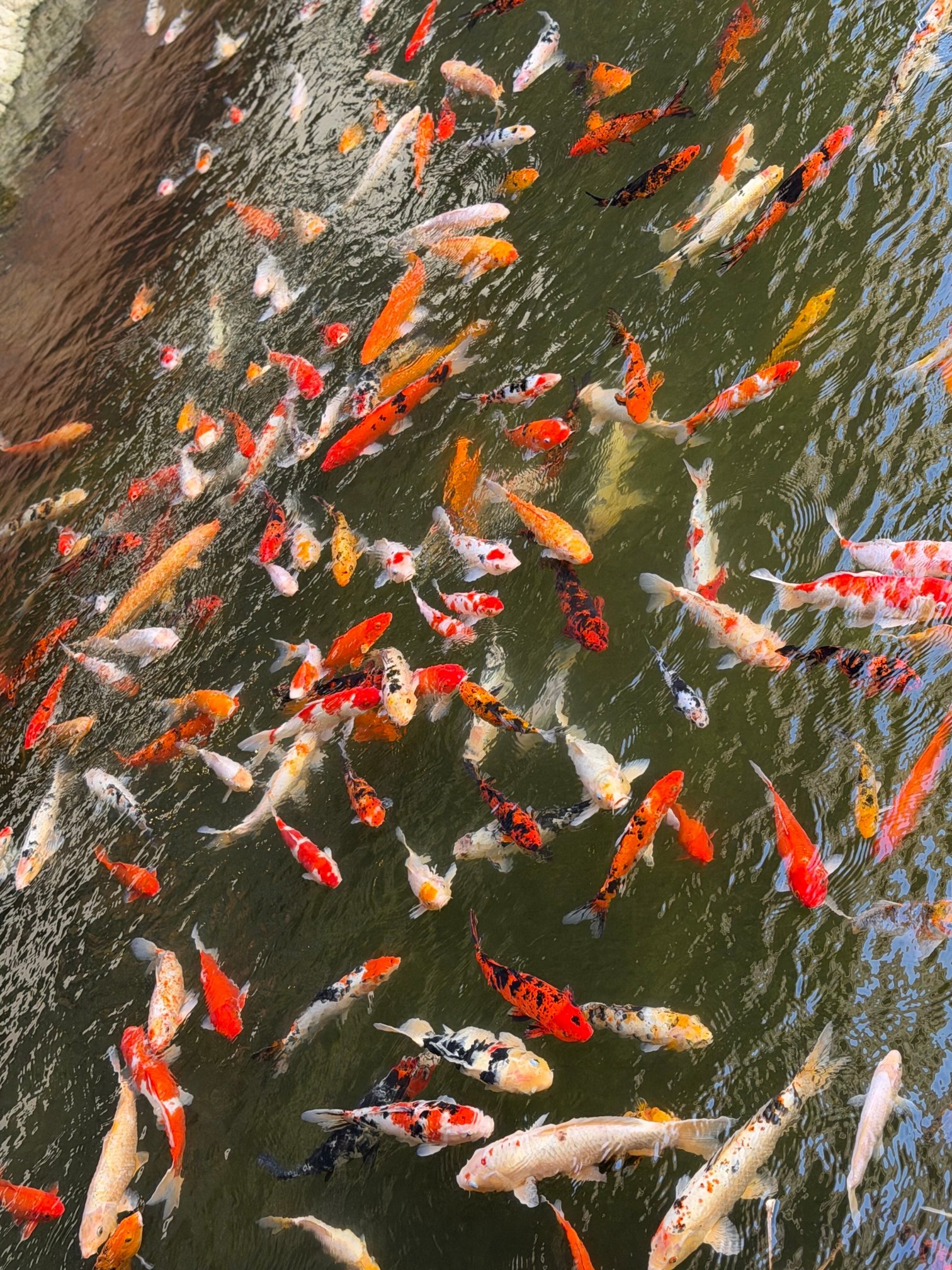 可爱岛威努亚湾希尔顿花园酒店-浴室