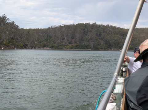 Captain Sponges Magical Oyster Tours-Pambula必去景点