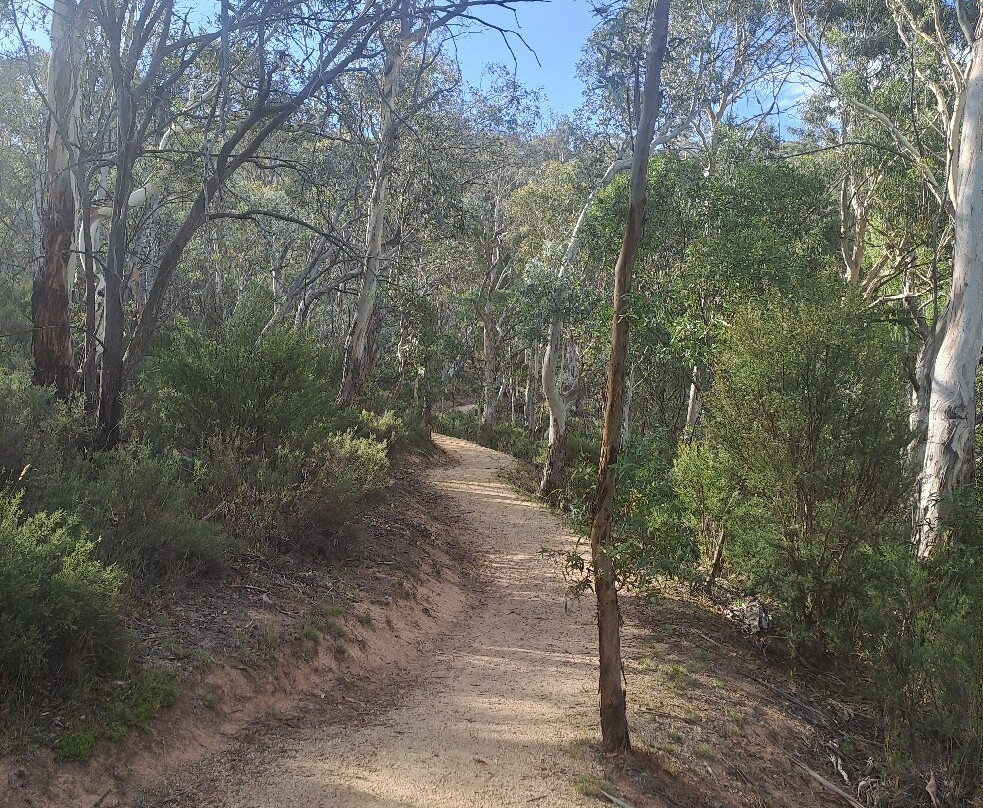 Thredbo River Track-Thredbo Village必去景点