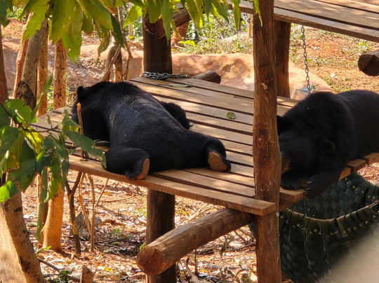 Luang Prabang Wildlife Sanctuary-琅勃拉邦必去景点