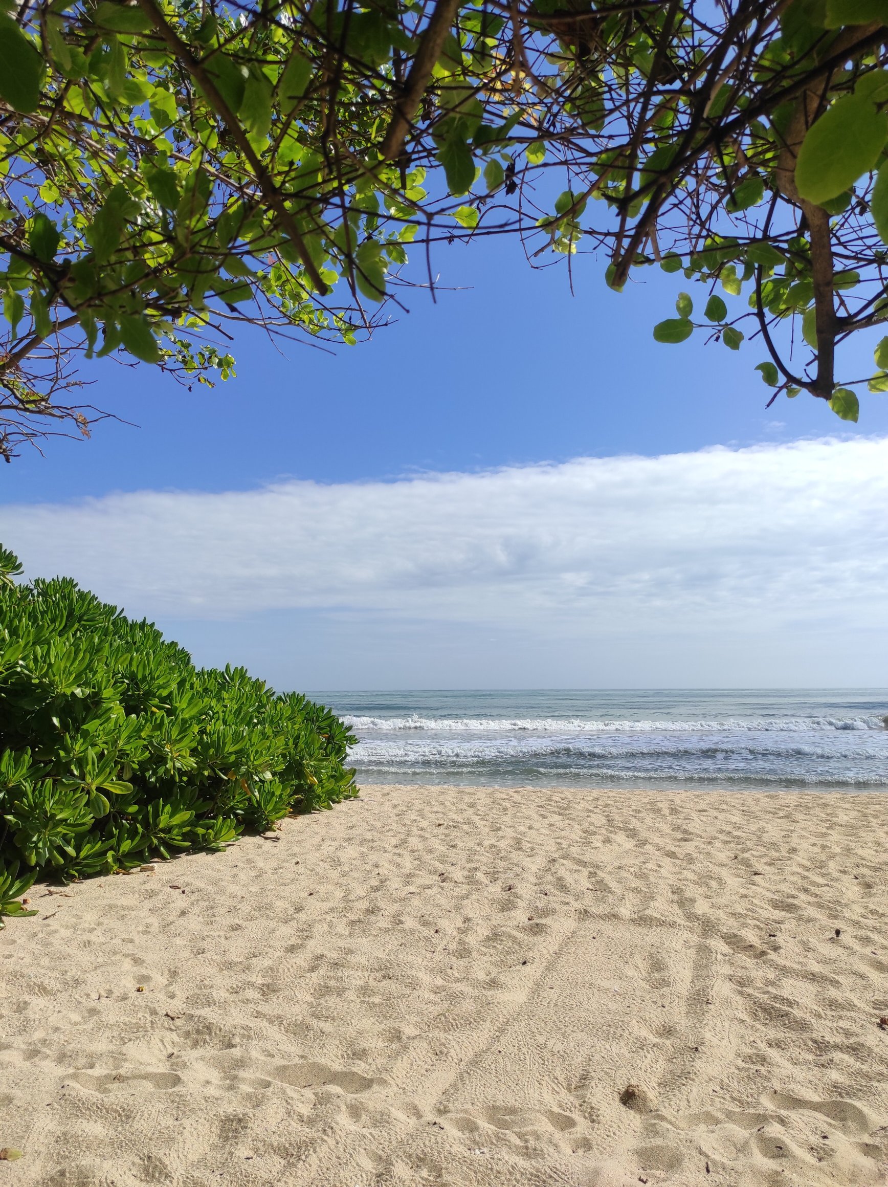 Anantaya Resort & Spa-官方