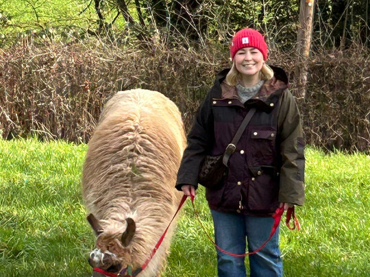 Briery Hill Llamas-Kilcot必去景点