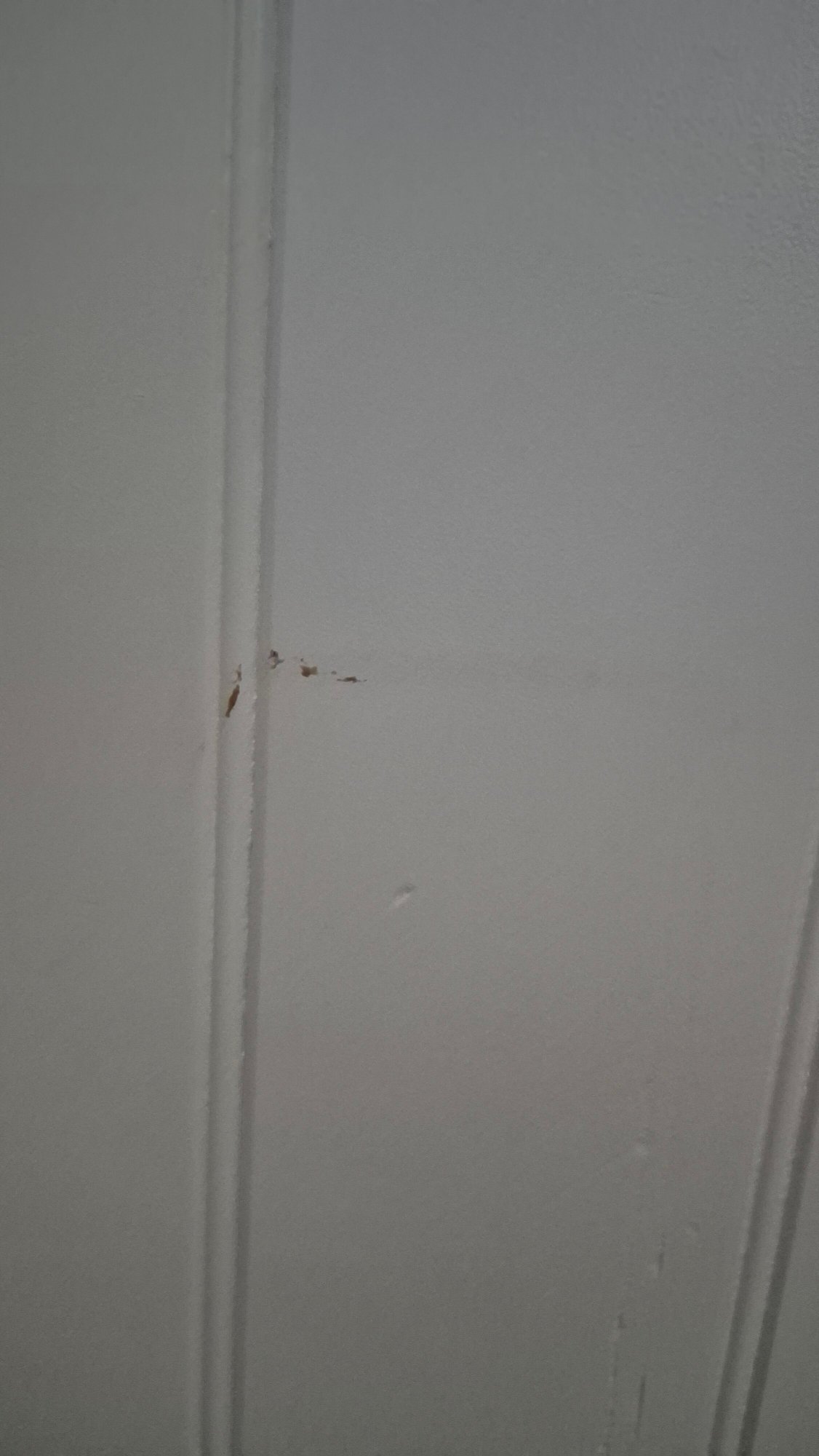 乡村家庭汽车旅馆-官方