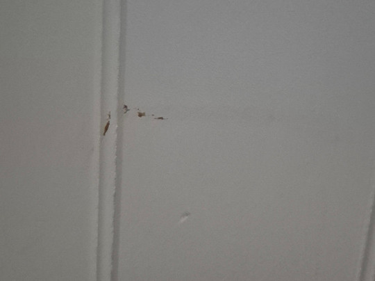 乡村家庭汽车旅馆主图