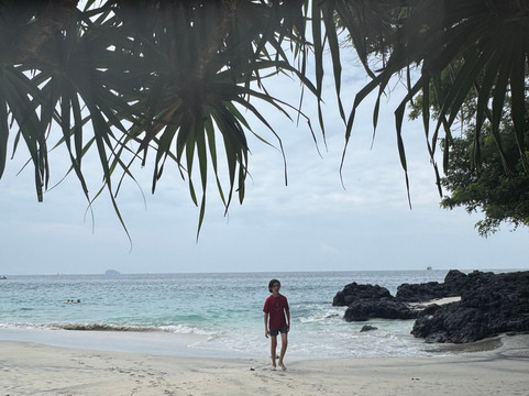 Bali Life Tours-乌布必去景点