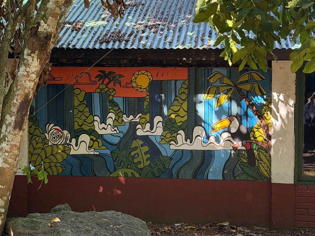 Salto San Martin-伊瓜苏国家公园必去景点