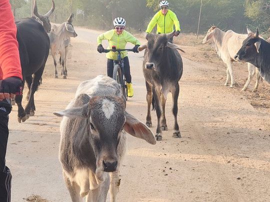 Cycling in India-新德里必去景点