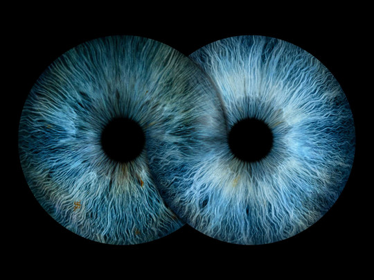 Iris Galerie Mall of the Netherlands