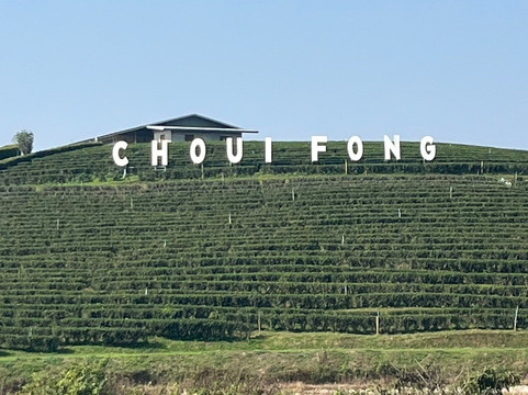 Choui Fong Tea-Pa Sang必去景点