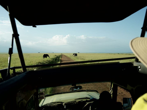 Earthwings Tours and Safaris-内罗毕必去景点