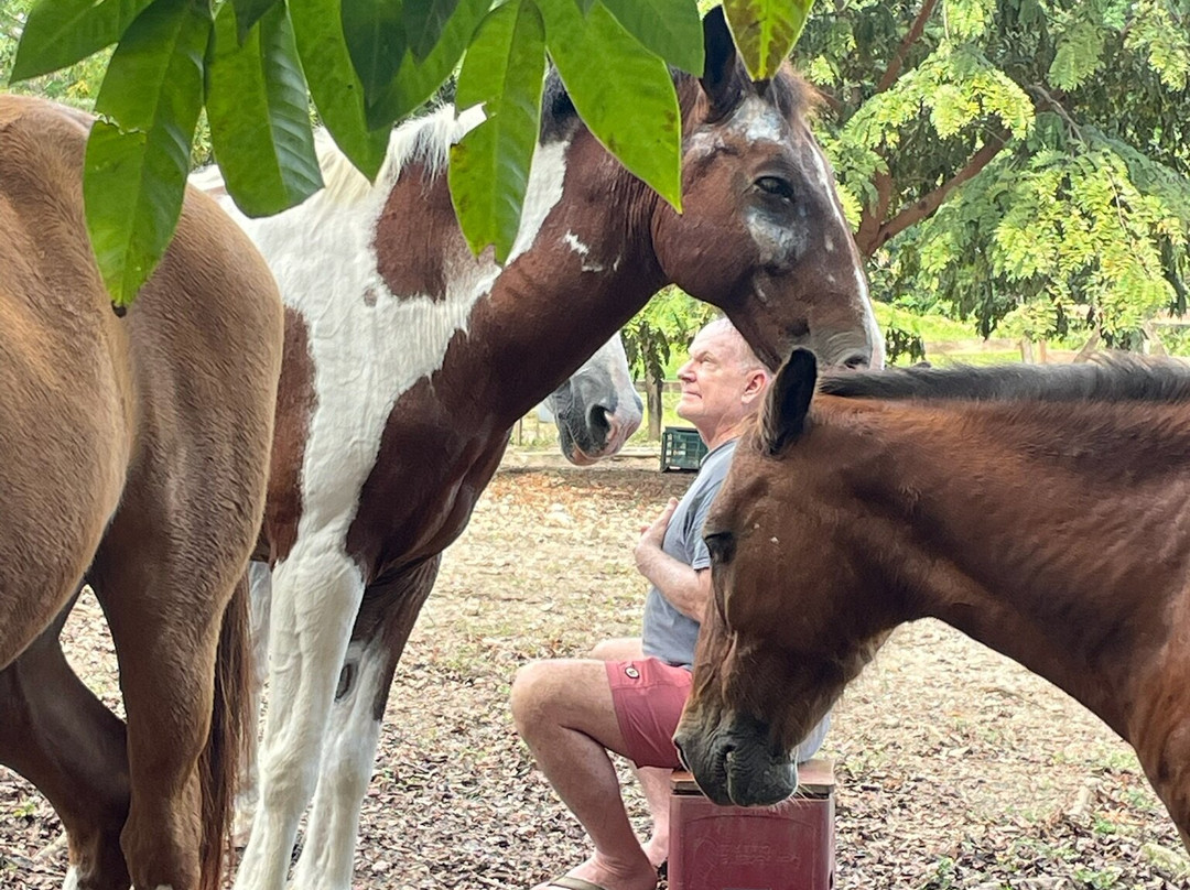 Horse Spirit Healing-Cabuya必去景点
