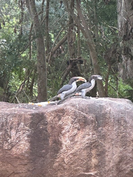 Sandalwood Valley-Leisure Bug Sri Lanka Tours & Home Stay-官方