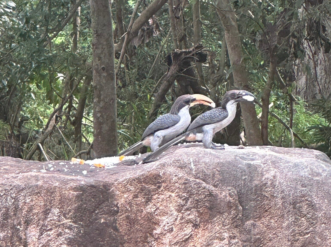 Sandalwood Valley-Leisure Bug Sri Lanka Tours & Home Stay主图