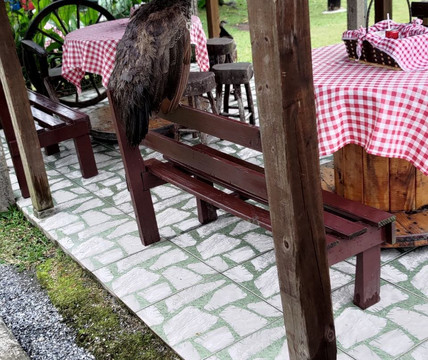 Rancho Alegre-Joinville必去景点