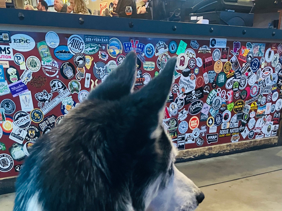 Tap-N-Fill-爱达荷福尔斯必去景点