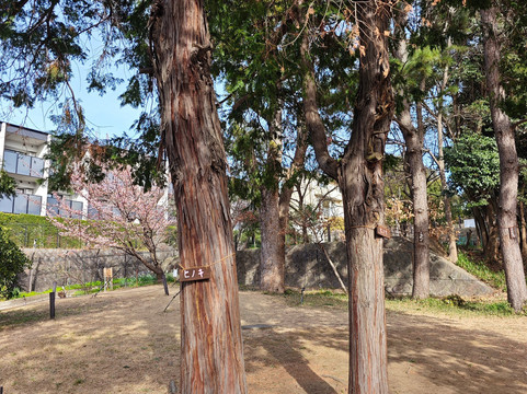 Sugekari Park-目黒区必去景点