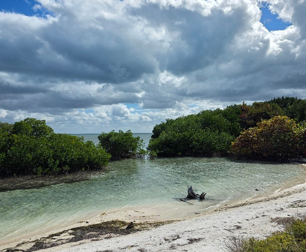 Biscayne National Park Institute-霍姆斯特德必去景点