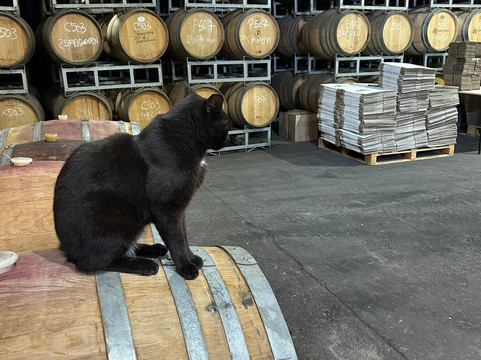 Flaherty Wines-San Felipe必去景点