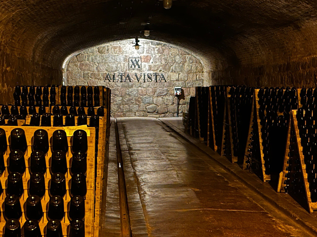 Bodega Alta Vista-路冉得库约必去景点