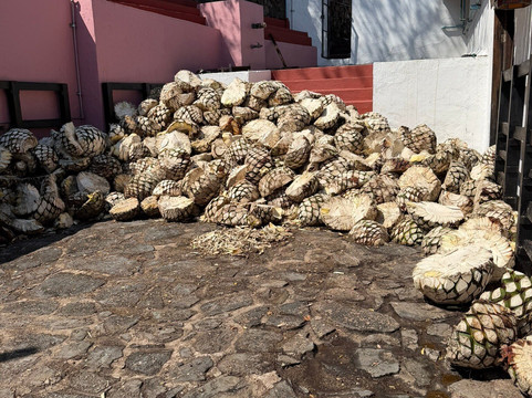 De Koppere Travel PV-瓦拉塔港必去景点