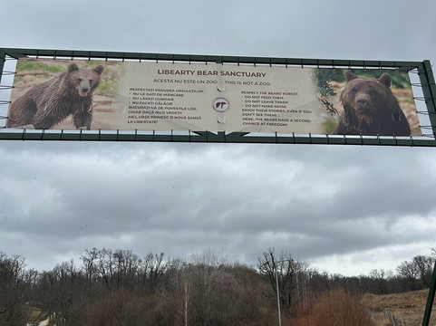 Libearty Bear Sanctuary Zarnesti-Zarnesti必去景点