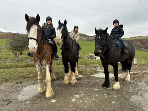 Cumbrian Heavy Horses-Millom必去景点