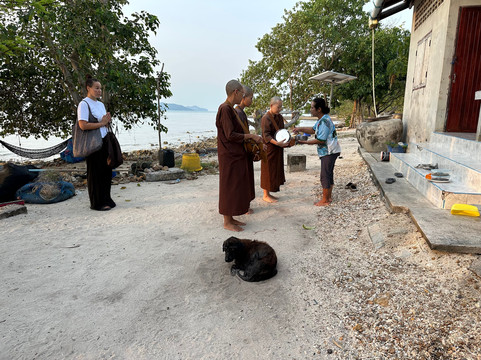 Meditation Island - Thailand