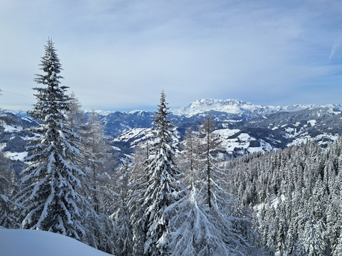 Skischule Rot Weiß Rot-瓦格亥姆必去景点