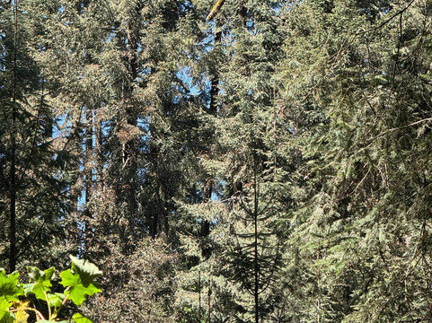 Piedra Herrada Sanctuary-巴耶－德布拉沃必去景点