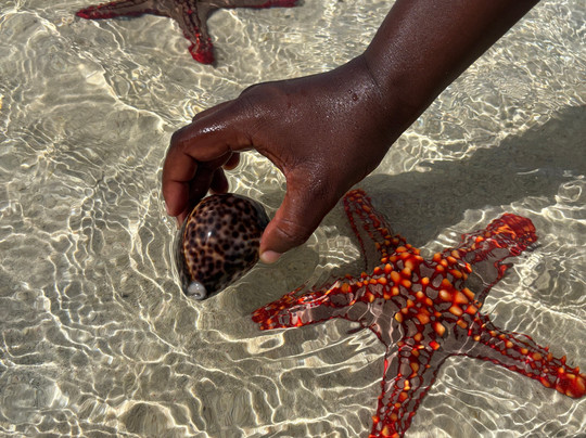 Sammy Safari Kenya-瓦塔木必去景点