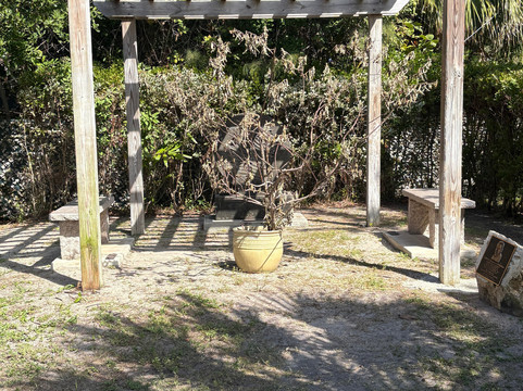 Hugh Taylor Birch State Park-劳德代尔堡必去景点