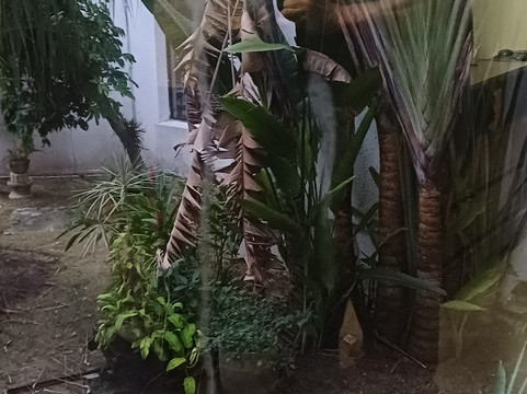 大陆加勒比海湾