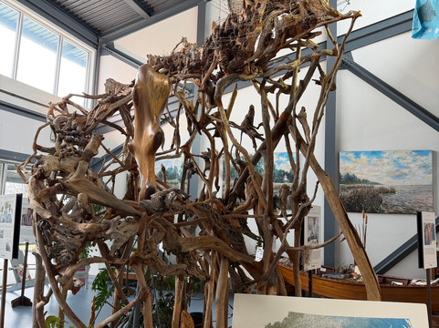 North Carolina Estuarium-Washington必去景点